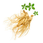 ginseng