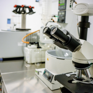 research Voxal Corporation Moggio Michele